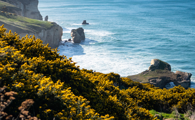 New Zealand
